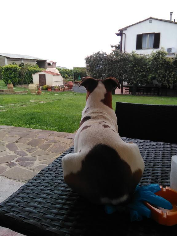 Agriturismo Valbona Villa Castiglione della Pescaia Eksteriør billede